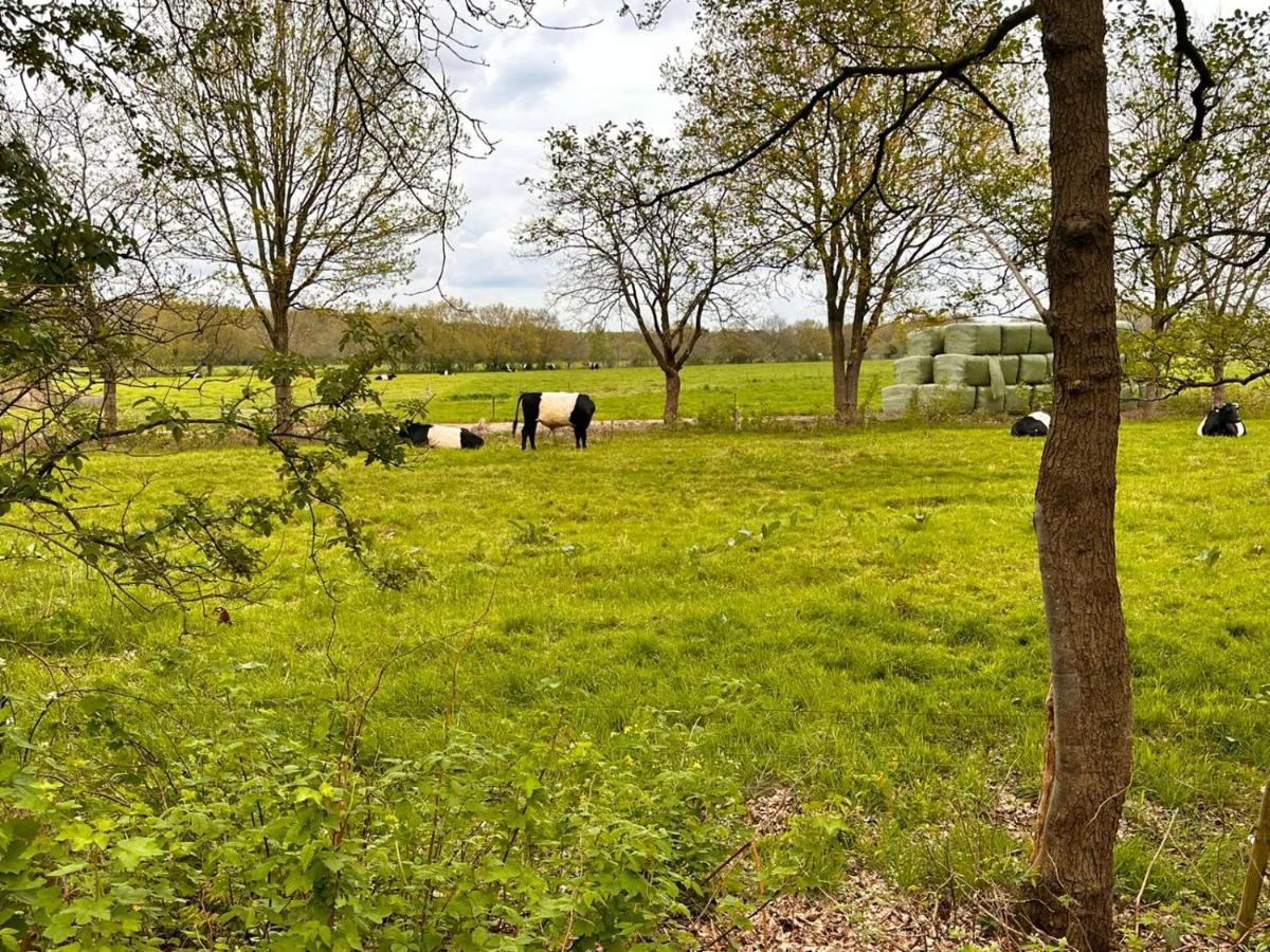 ホテル De Bosuil Zuidwolde  エクステリア 写真