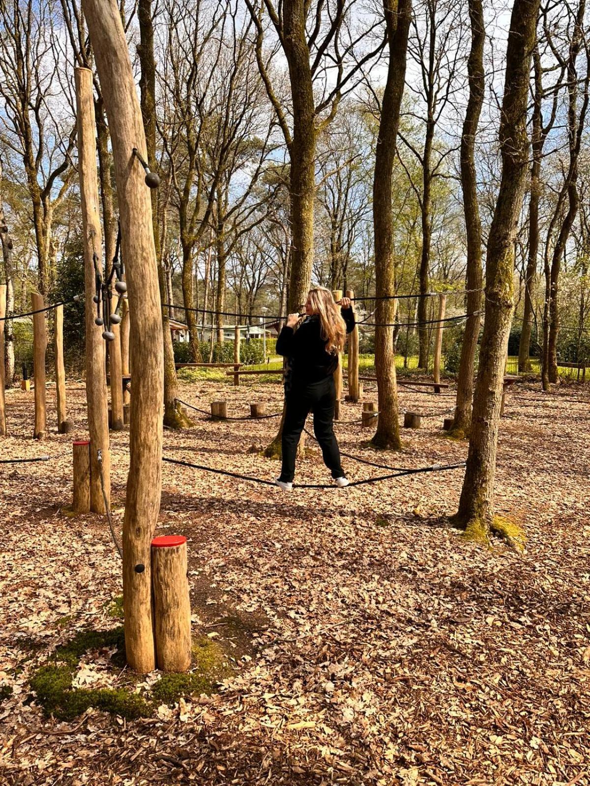 ホテル De Bosuil Zuidwolde  エクステリア 写真